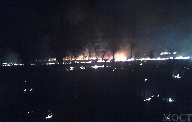 В Марганце сгорело 4,5 га леса (ФОТО)