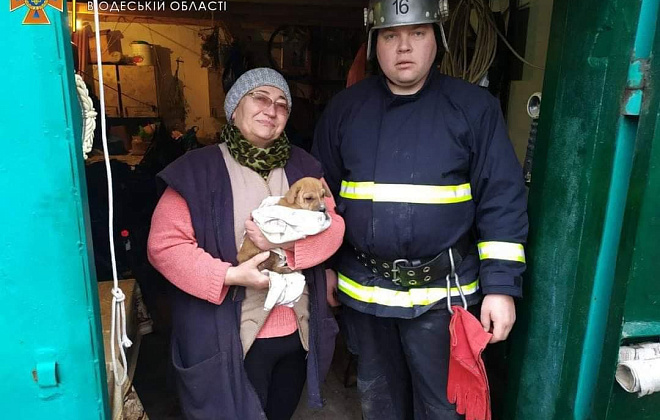 Спасение щенка Боси: в Одесской области спасатели взялись за перфоратор и пилу ради четырехлапого друга  