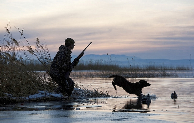 На Дніпропетровщині стартує мисливський сезон: терміни, штрафи та умови полювання