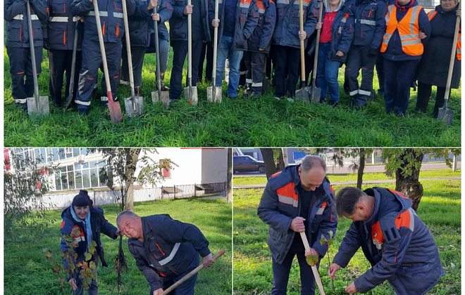 Спеціалісти Дніпропетровськгазу посадили новий зелений сквер у Павлограді