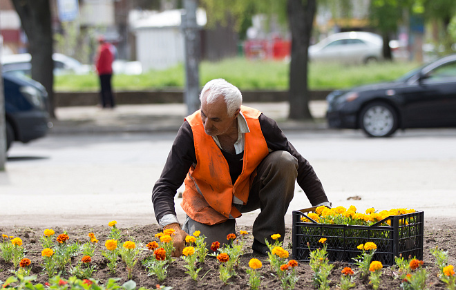 Восстановление цветников: в парках Днепра высадят около 45 тысяч цветов