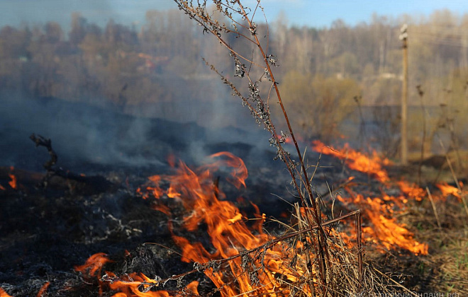 В Украине объявили чрезвычайный уровень пожарной опасности: список областей в зоне риска