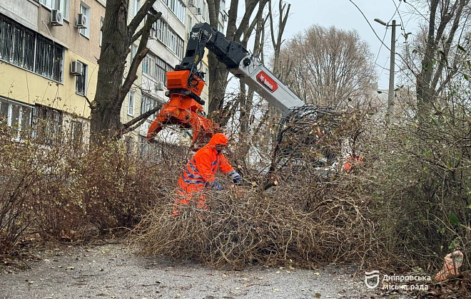Єдина в Україні: телескопічний маніпулятор обрізає дерева у Дніпрі