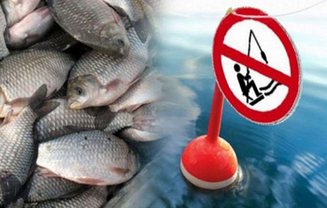 С 1 апреля в Украине начинается нерестовый запрет на рыболовство 