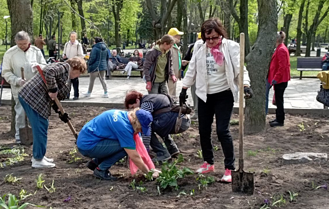 Іриси, нарциси, мускарі та барвінки: в одному з парків Дніпра слухачі Університету третього віку висаджували квіти