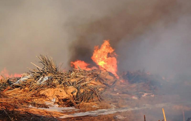 В Киевской области загорелась  несанкционированная свалка: огнем уничтожено 400 кв. метров
