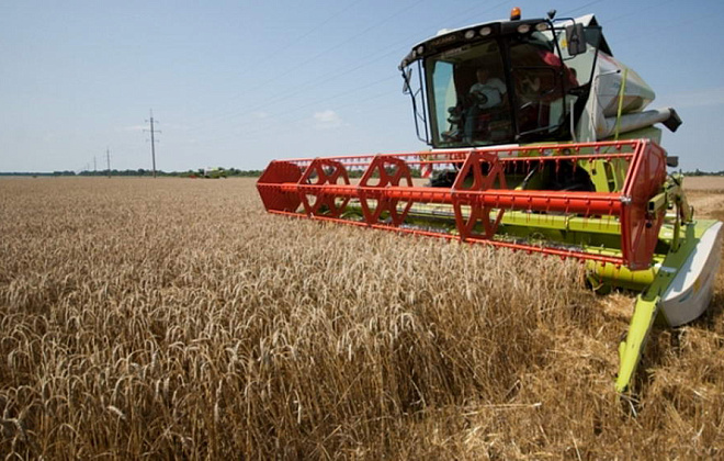 На Дніпропетровщині зібрали найкращий за останні роки врожай ранніх зернових