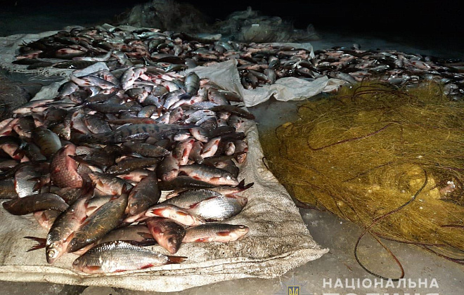 Незаконный улов в 180 килограмм рыбы: в Полтавской области задержаны трое браконьеров (ВИДЕО)