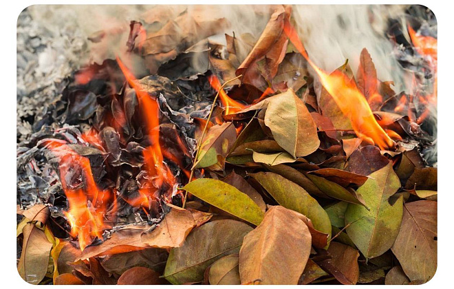 Дніпропетровська філія «Газмережі»: спалювати опале листя біля газопроводів небезпечно для життя