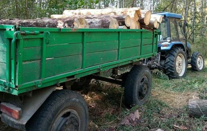 В Чернобыльском заповеднике задержали лесорубов-браконьеров