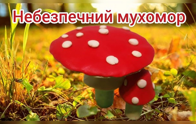 У Дніпропетровській області чоловік отруївся червоними мухоморами. Заходи профілактики отруєння дикорослими грибами