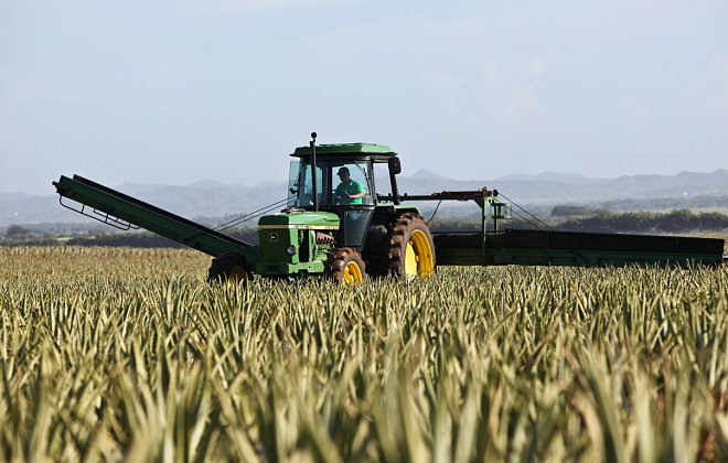 Дніпропетровщина очолила всеукраїнський рейтинг виробників сільського господарства