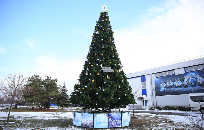 Шоу на льоду, аніматори та подарунки: у Новокодацькому районі відкрили новорічну ялинку