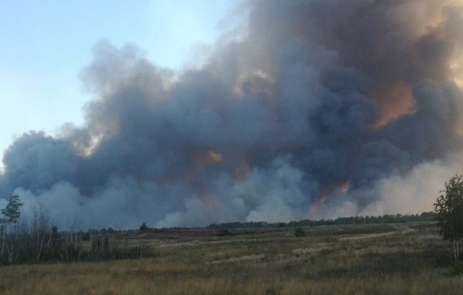 У Новомосковському районі горить ліс