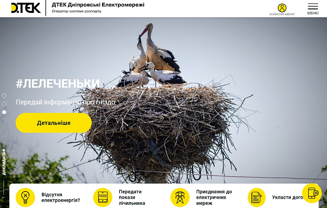 Передай інформацію про гніздо – захисти лелек: ДТЕК Дніпровські електромережі запустив нову функцію на сайті