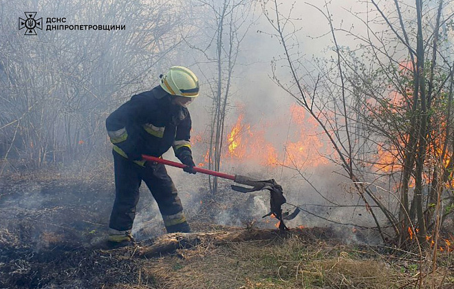 На Дніпропетровщині вогнеборці впродовж доби ліквідували 23 пожежі в екосистемах